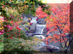 Jardin Japonais de Hasselt