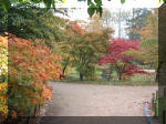 Jardin Japonais de Hasselt