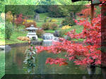 Jardin Japonais de Hasselt