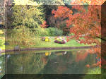 Jardin Japonais de Hasselt