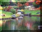 Jardin Japonais de Hasselt