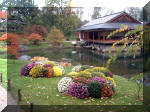 Jardin Japonais de Hasselt