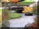 Jardin Japonais de Hasselt