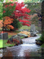 Jardin Japonais de Hasselt