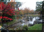 Jardin Japonais de Hasselt