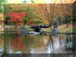 Jardin Japonais de Hasselt