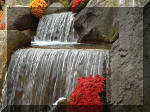 Jardin Japonais de Hasselt