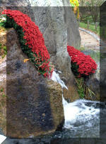 Jardin Japonais de Hasselt