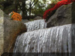 Jardin Japonais de Hasselt