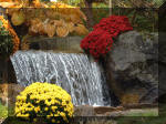 Jardin Japonais de Hasselt