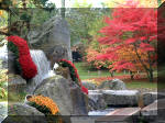 Jardin Japonais de Hasselt