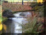 Jardin Japonais de Hasselt