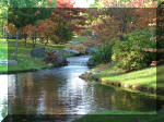 Jardin Japonais de Hasselt