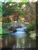 Jardin Japonais de Hasselt