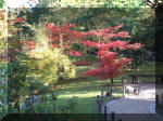 Jardin Japonais de Hasselt