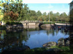 Jardin Japonais de Hasselt