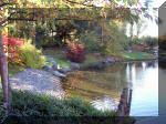 Jardin Japonais de Hasselt