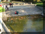 Jardin Japonais de Hasselt