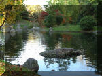 Jardin Japonais de Hasselt