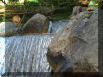 Jardin Japonais de Hasselt