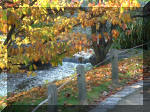 Jardin Japonais de Hasselt