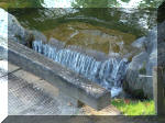 Jardin Japonais de Hasselt