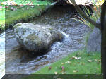 Jardin Japonais de Hasselt