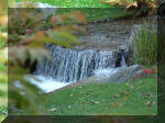 Jardin Japonais de Hasselt