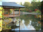 Jardin Japonais de Hasselt