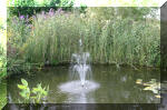 JARDIN AQUATIQUE 1  18 