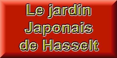 Le jardin Japonais de Hasselt - le printemps 4  1 