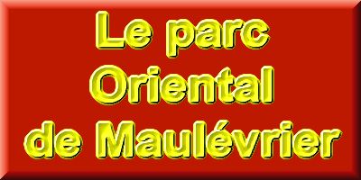 Le parc Oriental de Maulvrier en 2009 - visite du parc page 3  1 