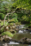 Le parc Oriental de Maulvrier en 2009 - visite du parc page 3  2 