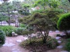 jardin japonais de monaco