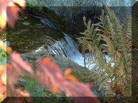 Jardin japonais d'Hasselt couleurs d'automne 1  12 