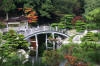 Hiroshima Garden page 2  17 