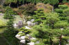 Hiroshima Garden page 2  15 