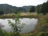 Kim's koi hunting 2008, la chasse au trsor de kim   Niigata le jeudi  3 