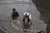 Koi Hunting of Danny's koi caf november 2008 - Sakai fish farm harvest in mud pond 1  16 