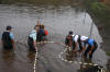 Koi Hunting of Danny's koi caf november 2008 - Sakai fish farm harvest in mud pond 1  18 