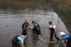 Koi Hunting of Danny's koi caf november 2008 - Sakai fish farm harvest in mud pond 1  20 