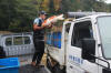 Koi Hunting of Danny's koi caf november 2008 - Sakai fish farm harvest in mud pond 1  23 