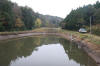 Koi Hunting of Danny's koi caf november 2008 - Sakai fish farm harvest in mud pond 2  13 