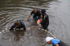 Koi Hunting of Danny's koi caf november 2008 - Sakai fish farm harvest in mud pond 2  17 