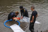 Koi Hunting of Danny's koi caf november 2008 - Sakai fish farm harvest in mud pond 2  23 