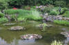 Miroir d'eau Aqualife - bassin de jardin de dmonstration 1   44 