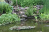 Miroir d'eau Aqualife - bassin de jardin de dmonstration 1   45 