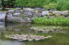 Miroir d'eau Aqualife - bassin de jardin de dmonstration 1   27 