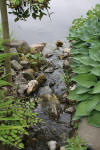 Miroir d'eau Aqualife - bassin de jardin de dmonstration 1   20 