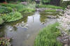 Miroir d'eau Aqualife - bassin de jardin de dmonstration 2  8 